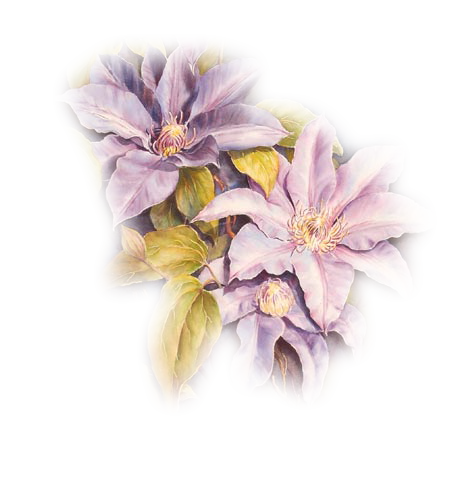 tube fleurs purple