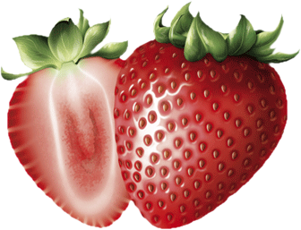 tube fraise framboise